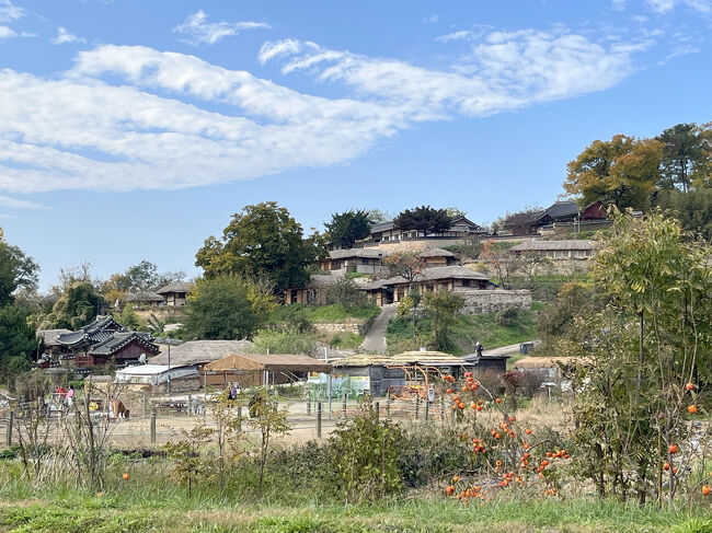 たくさん写真を撮ってしまいます