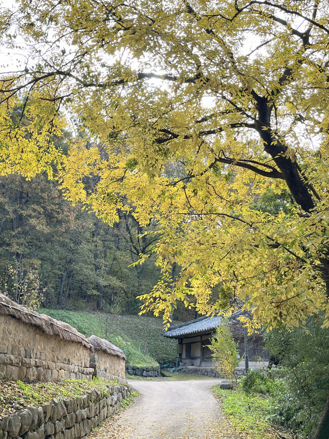 こんな感じで人がいません