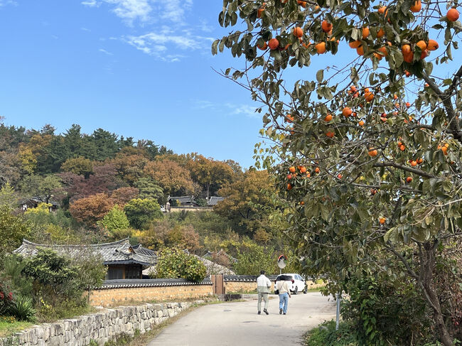 柿と紅葉<br />秋の風景を楽しみます