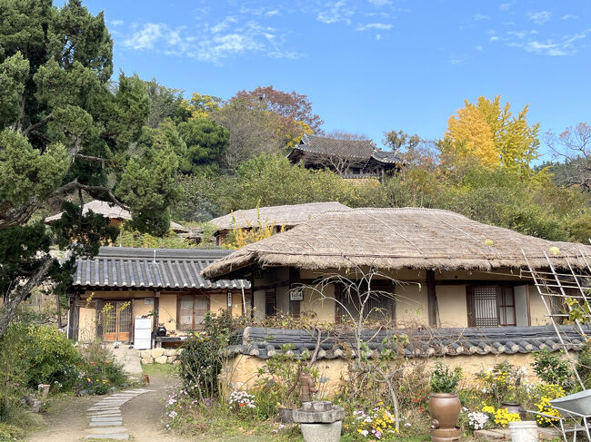 昔ながらの家がたくさん