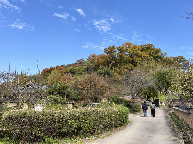 こんな感じで人も少なくのんびりとしています