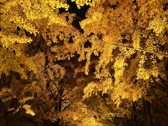 ライトアップを見に向かいます。

※詳細旅行記は
https://4travel.jp/travelogue/12017178