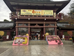 笠間稲荷神社に到着。前日まで菊まつりが開催されていたようです。
菊人形以外はまだ装飾が残っていました。