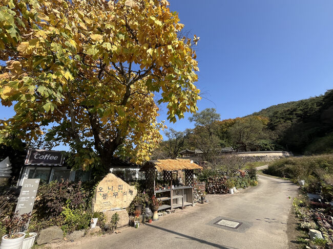 「オドンナム食堂」<br /><br />こちらでいただきます