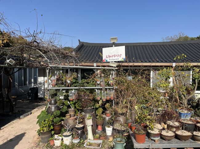 おいしかったー<br />のんびり食事を楽しめました<br />おすすめです