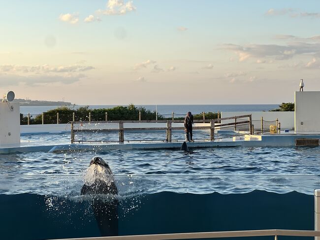 めっちゃ近くまで来るのね～∑(ﾟДﾟ)！！