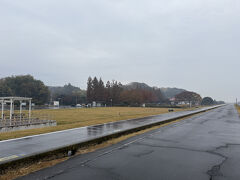 公園の木々は紅葉していて綺麗です。お天気が良ければねぇ…。