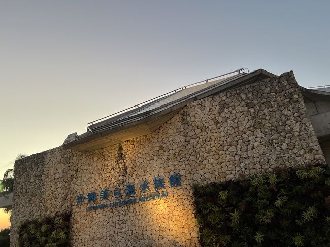 今度はジンベイザメの餌やりを観に必ず来ますね～