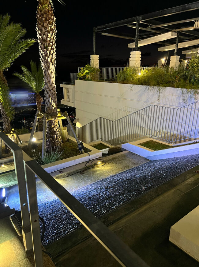 ライトアップもキレイでした