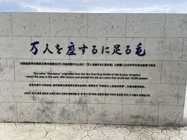 券売機で観覧料￥100購入しました<br /><br />丁度韓国の観光客の団体と一緒になってしまい、、(￣▽￣;)思うように観れなかったのと、