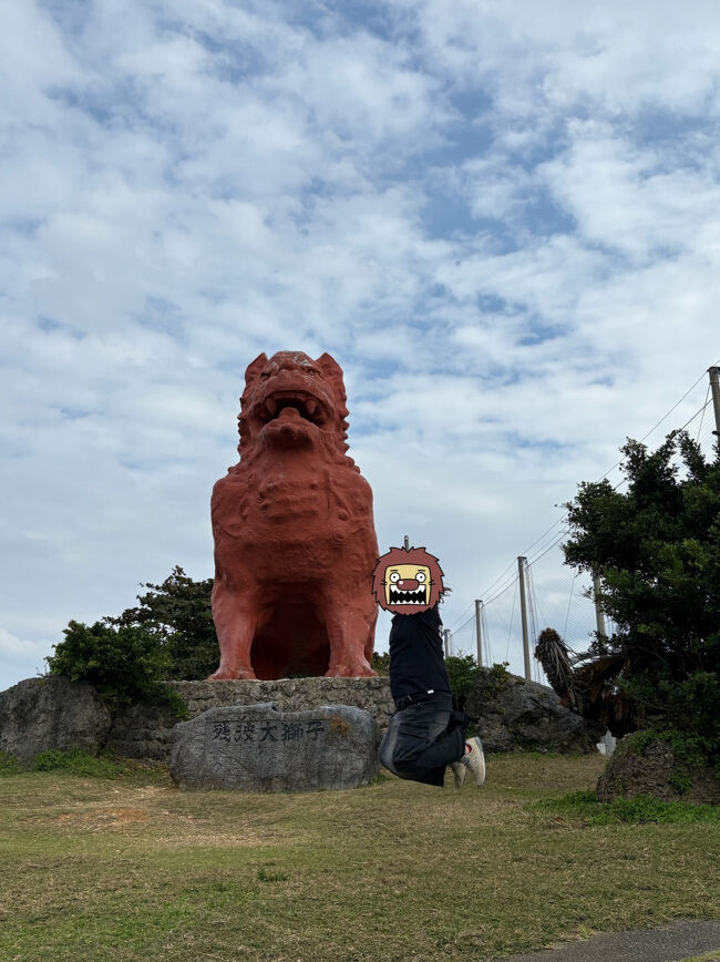 やってみました＼(^o^)／<br /><br />ジャンプぅ～～～(๑>◡<๑)♪