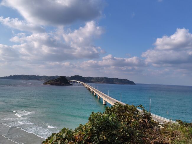 ずっと見ていたくなるよ