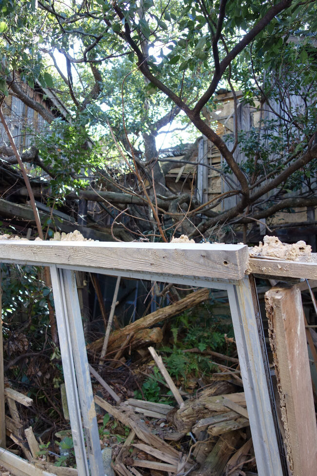 すでに家屋は原型を留めておらず、森に還りつつあります。<br />内見も必要のない物件です。街なかでこのような状態になっている区画はあまり見かけないですね。