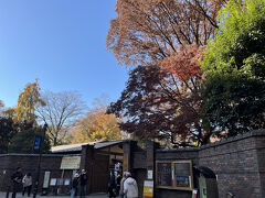 都バスの上富士前停留所で降りてすぐの六義園正門へ。