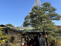 六義園の吹上茶屋へ。