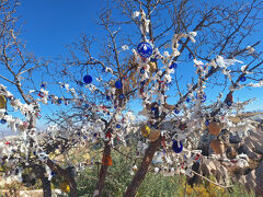 昨日も来た鳩の谷。