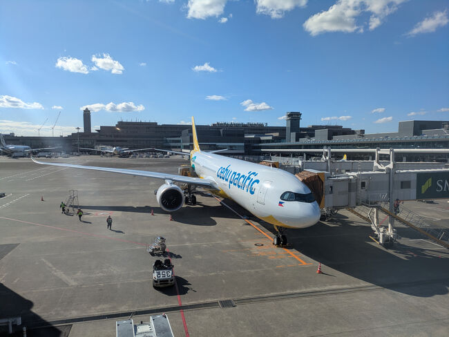 初めてのセブパシフィック。<br />めっちゃ狭いけどLCCはこんなもんじゃろ。<br />ケチって座席指定はしなかったけど、往復共に通路側でした。<br />頻尿なので助かります。