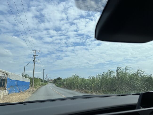 ヤバい∑(ﾟДﾟ)