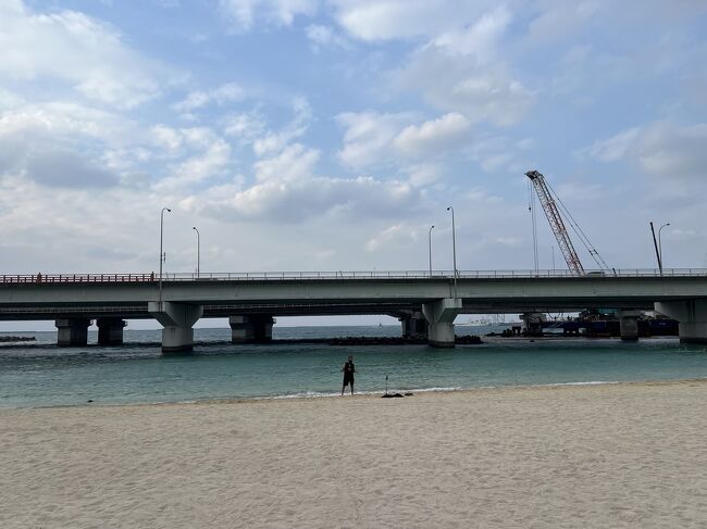 海の向こうにすぐ道路が、、なんかスゴいですよね～