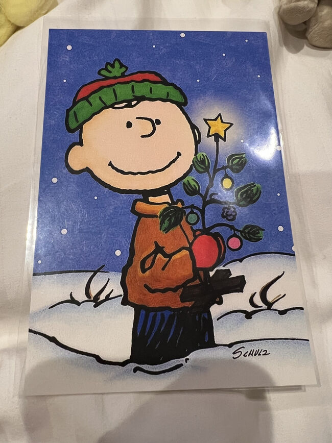 ［購入品］<br /><br />◇チャーリーブラウンのポストカード￥110<br /><br />一目惚れでした～♪♪