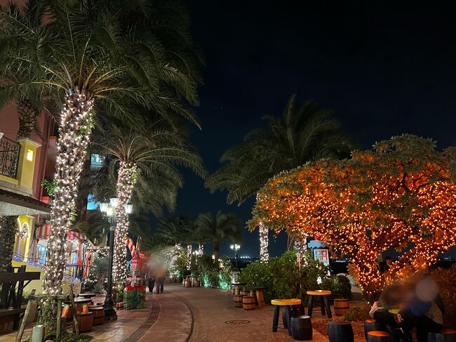 海沿いに来ました～<br /><br />もちろん海は真っ暗で何も見えません(￣▽￣;)<br />ではホテルに戻りまーす<br /><br />戻る間ちょこちょこお店に入って見たものの購入まではいたりませんでした～