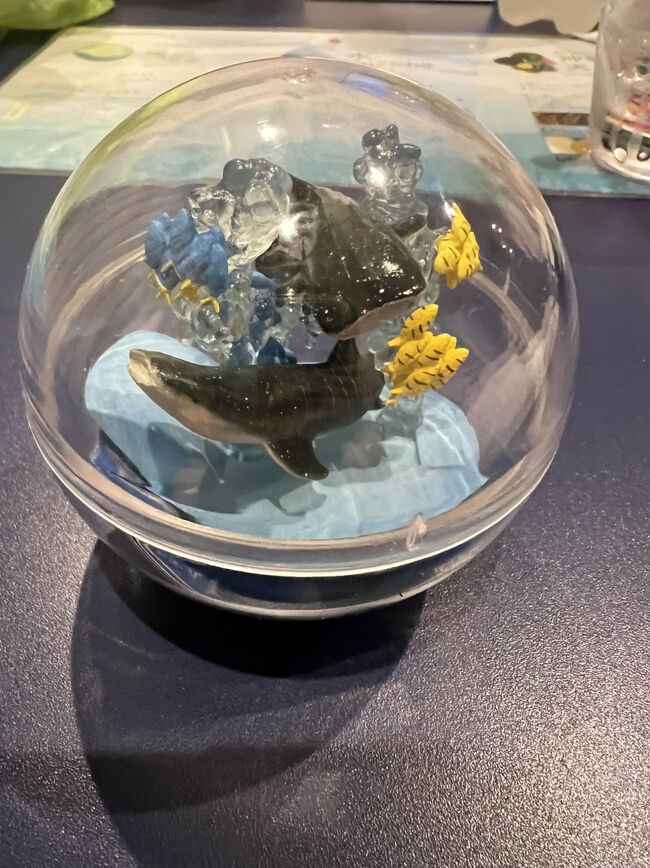 ◇美ら海水族館ガチャ￥500<br />黒潮の海・大水槽<br /><br /><br />美ら海水族館で回したガチャを作ってみました<br />なかなかのものが完全しました<br /><br /><br />ではではお風呂に入って荷物を整理しなきゃ、、早いものでもう、明日帰りまーす（ ;  ; ）<br />