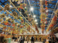 イルミが綺麗です。

ベコニアガーデン