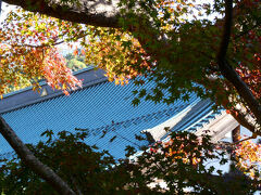 建長寺は現在、伽藍のあちこちが修築中。紅葉は建長寺が一番見ごたえがあった。
建長寺はその名の通り、鎌倉時代の建長年間、1253年の創建。鎌倉幕府の公的なお寺で、やはり臨済宗の寺院。
創健したのは、やはり鎌倉五代執権、北条時頼である。