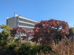 目黒区総合庁舎屋上の屋上庭園