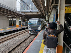 特急踊り子３号伊豆急下田行きが入線
の写真を撮るへけけパイセンを撮るはっぴんｗ