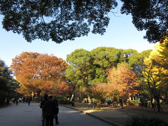 台東区民の私だが 
これまで 上野公園で 
紅葉を意識したことは 全くない
　
ただ…
　