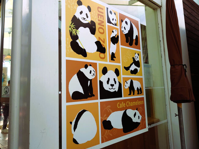 園内のカフェでお昼ごはん。