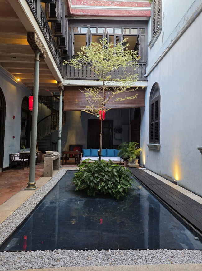 夕御飯に出かけます。