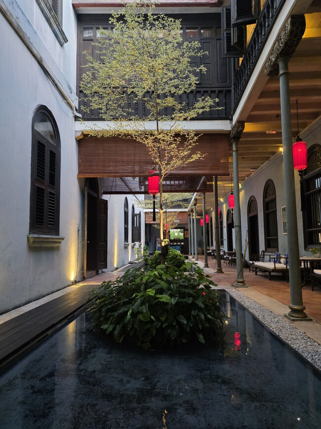 主人はソファでゆっくりするのが好きだったみたい。