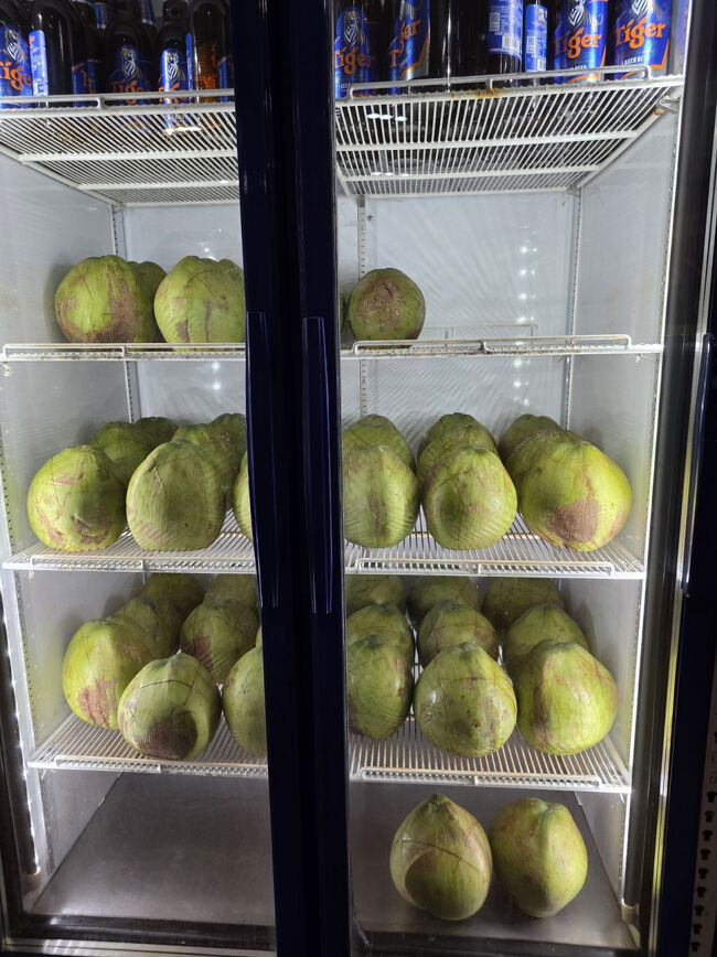 初日に来店<br />私これにしよ！