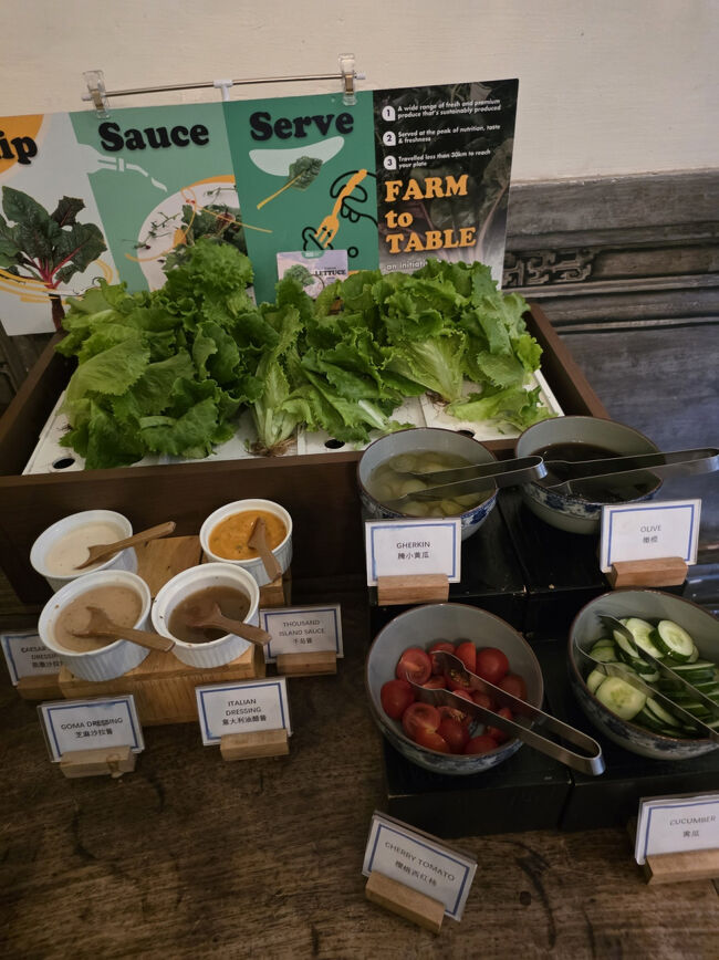 サラダは生えてるレタスっぽいのを直接収穫してお皿に