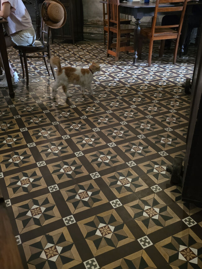 猫さん登場<br />実はさっき大きなネズミが走り抜けていったんです。<br />ちょっとビックリしながらもペナンなので納得する私<br />猫さんも働きます。