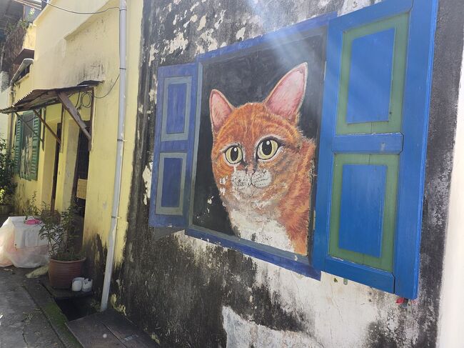 家の茂三次（もみじ）もいつも窓から覗いてる（笑）<br />色柄も同じ(笑)