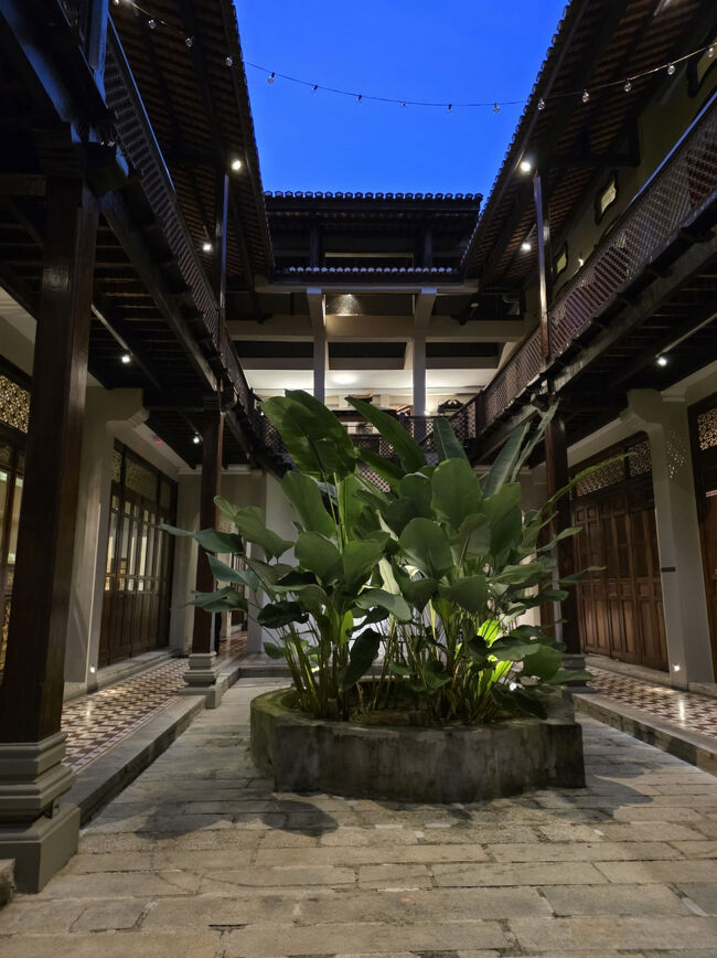 食後に<br />覗いてみました。