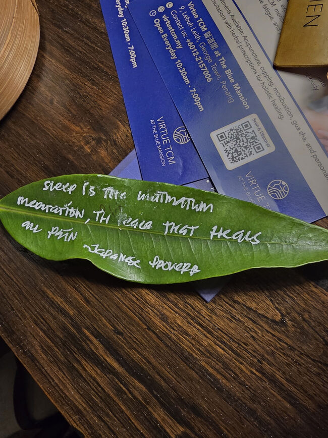 毎日葉っぱのメッセージ付き