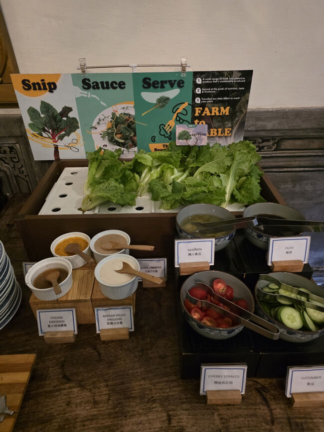 カット収穫するサラダ