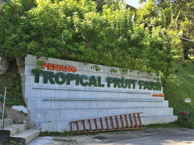 観光も去年一通りしてるので<br />悩んだ挙げ句<br />GrabでTropicalFruitsFarmまで来ました。<br />去年のスパイスガーデン通り越しての<br />遠かった。