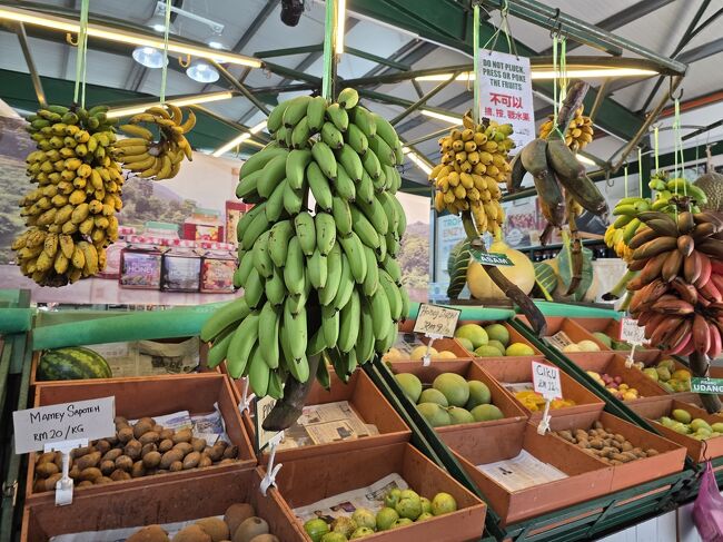 バナナの種類も多数