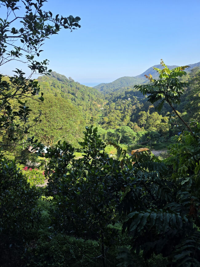 あそこまで降りるの？<br />ということは又上がってこないといけない。