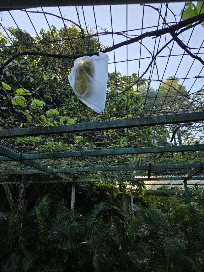 ちゃんと袋が掛けてある。