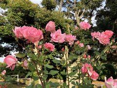 山手111番館へは港の見える丘公園の中を通って行きます。
