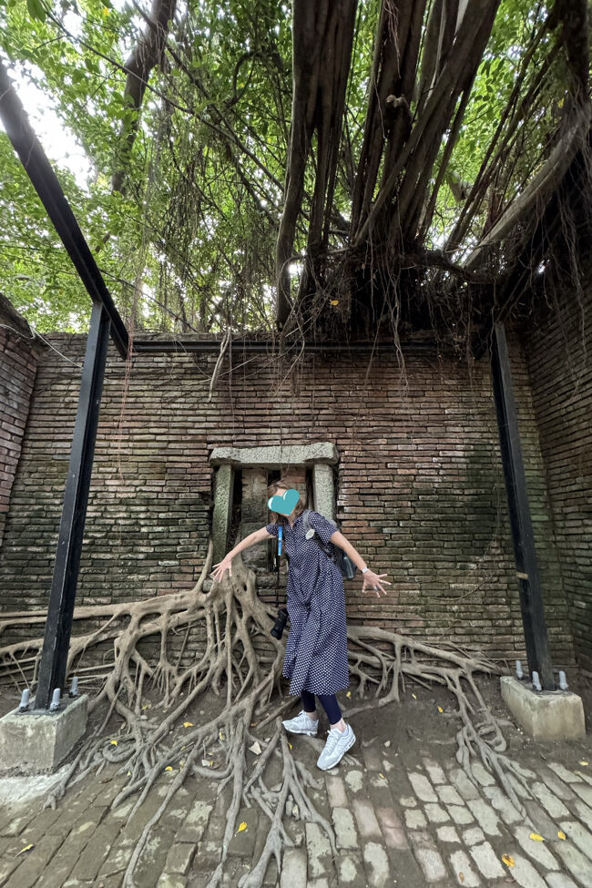 窓からも侵入しちゃってる<br /><br />ガジュマルの真似してみた！