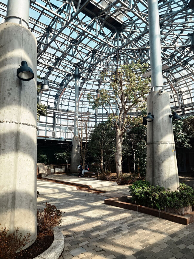 幣舞橋側には「EGG」(屋内植物園)があります。クスノキなどの常緑樹が植えられています。森林浴気分が味わえるのでオススメです。