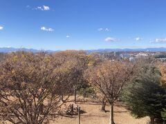 10分ほど階段登り舛形山展望台に登ります。
寒波のおかげで空気が澄んでる。
西を向けば富士山から奥多摩、丹沢の山々が綺麗に見えます。
遠く日光の山まで見える。