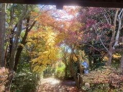 生田緑地民家園まできました。
整備されたもみじの道を再び下ります。